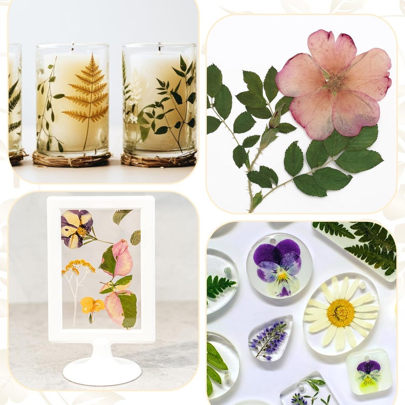 Aboofx Microwave Flower Press Kit,6.3"x6.3" 3 Layers Quick Dry Flower Pressing with Washable Cloth for Pressed Flowers&Plant for DIY Art Craft Lovers,Beginners,Flowers Drying,Vibrant Color Retention - Image 5